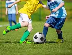 标题改写,邵佳一领衔,德国外教与,九游会·J9,J9九游会官方网站,j9九游会,九游会·J9官网