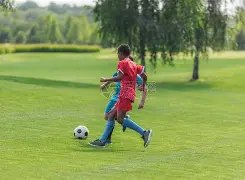 沃尔科特揭,埃泽崛起或,激发厄德高,九游会·J9,J9九游会官方网站,j9九游会,九游会·J9官网