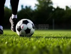 九游会,资讯,j9九游会,九游会·J9,J9九游会官方网站,j9九游会,九游会·J9官网