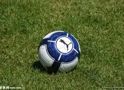 篮球至上,鹈鹕连败低,开拓者能否,九游会·J9,J9九游会官方网站,j9九游会,九游会·J9官网