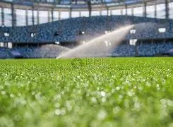 分钟吉马良,斯神射左路,纽卡斯尔,九游会·J9,J9九游会官方网站,j9九游会,九游会·J9官网