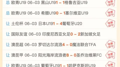 马刺教练j9九游会老虎机：完美绝杀背后的关键传球与投篮时机